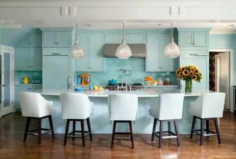 Interior of kitchen in blue color