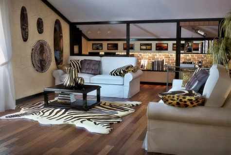 Style of safari in interior