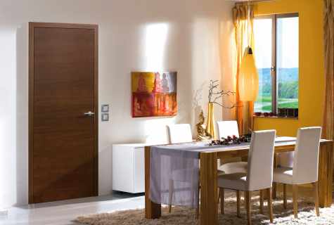 Plastic interroom doors: we choose for the apartment