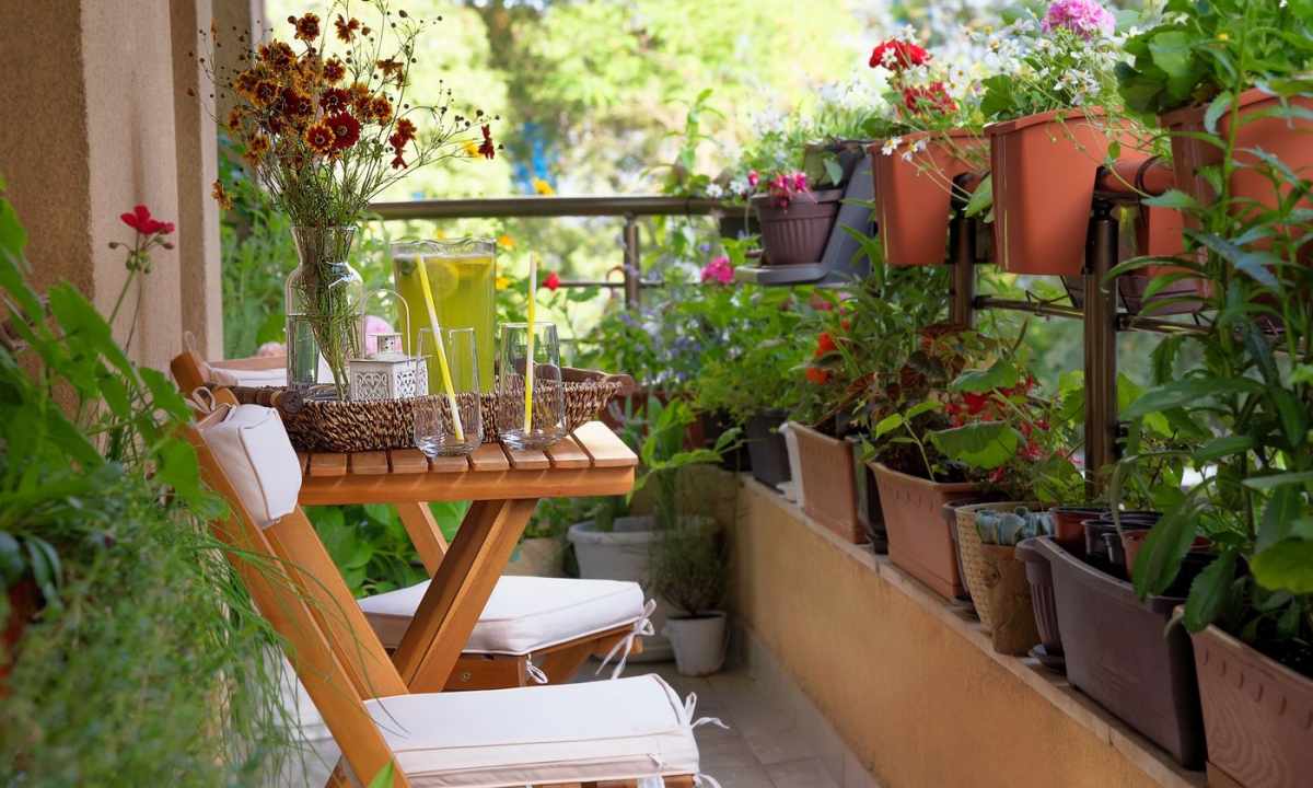The basic rules and councils when gardening balcony