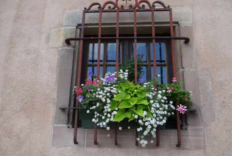 How to issue balcony window