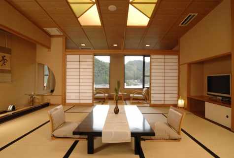 How to create the Japanese interior in the apartment
