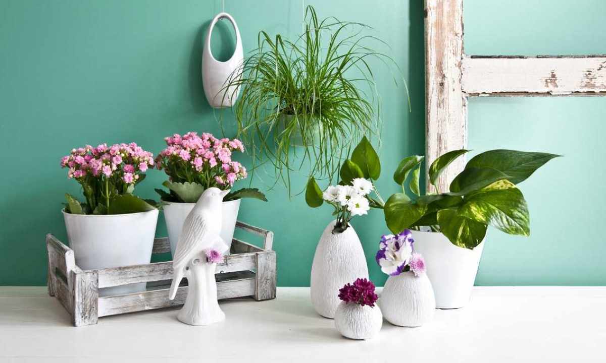 How to create spring mood in interior