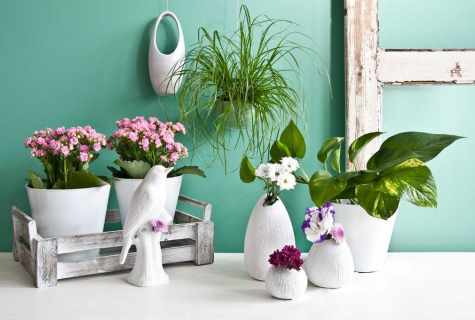 How to create spring mood in interior