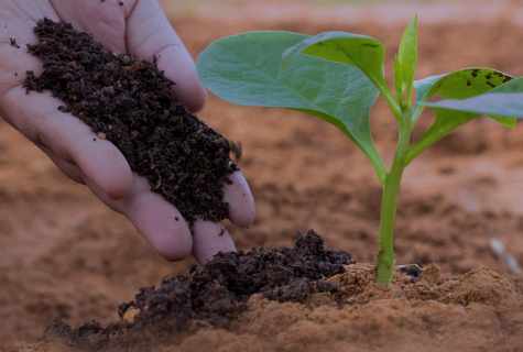 How to count soil volume