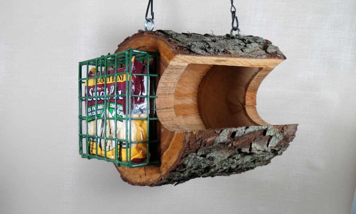 How to make birds feeder with own hands from tree