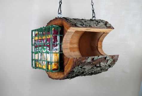 How to make birds feeder with own hands from tree