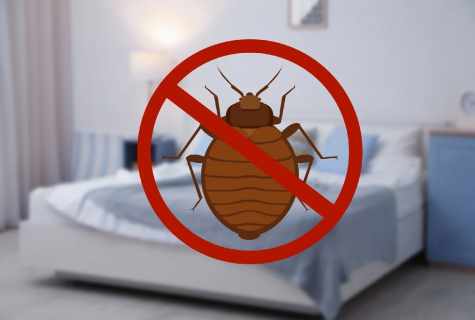 How to get rid of bugs
