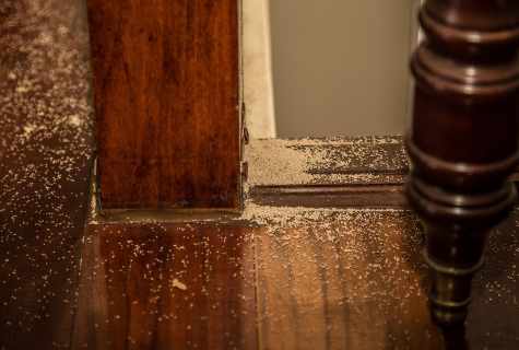 How to get rid of wood lice in the house