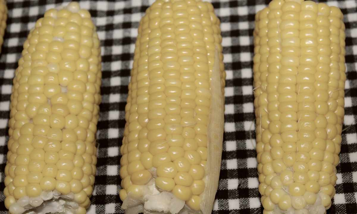 How to roll up corn