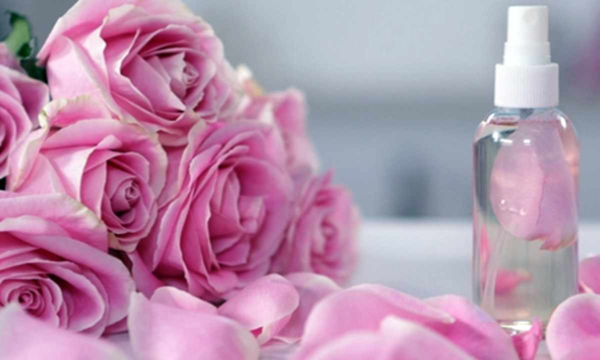 How to refresh roses