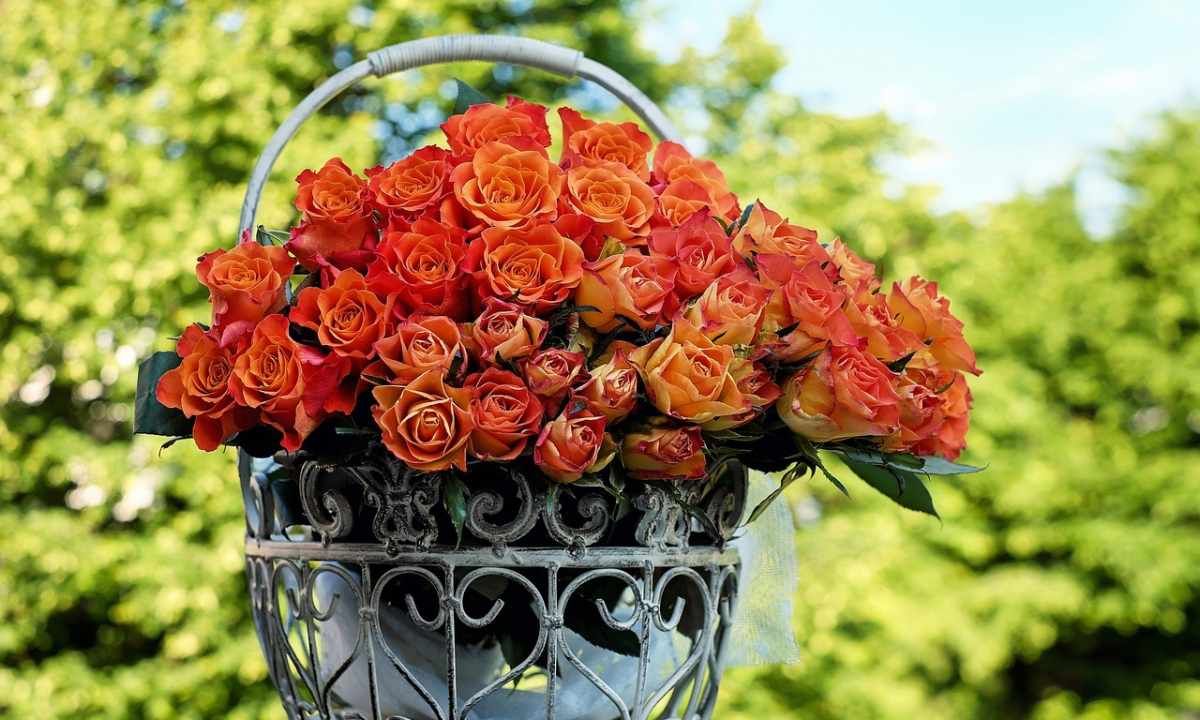 How to keep bouquet of roses fresh