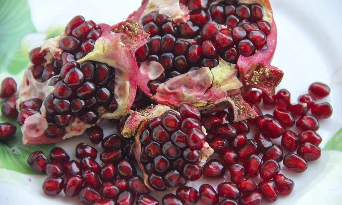 How to plant pomegranate seeds