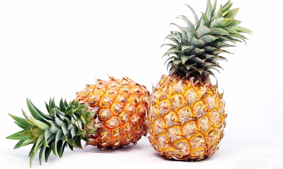 How to multiply pineapple