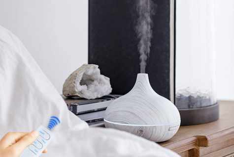 The choice of humidifier for the house