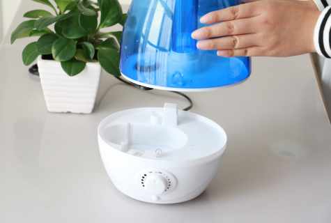How to clean humidifier