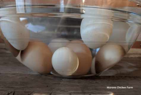 How to make the egg tester