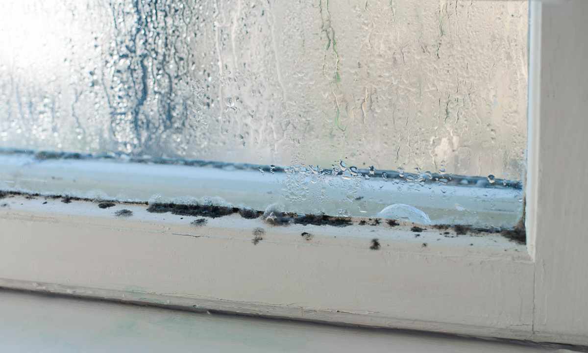 How to check humidity in the apartment