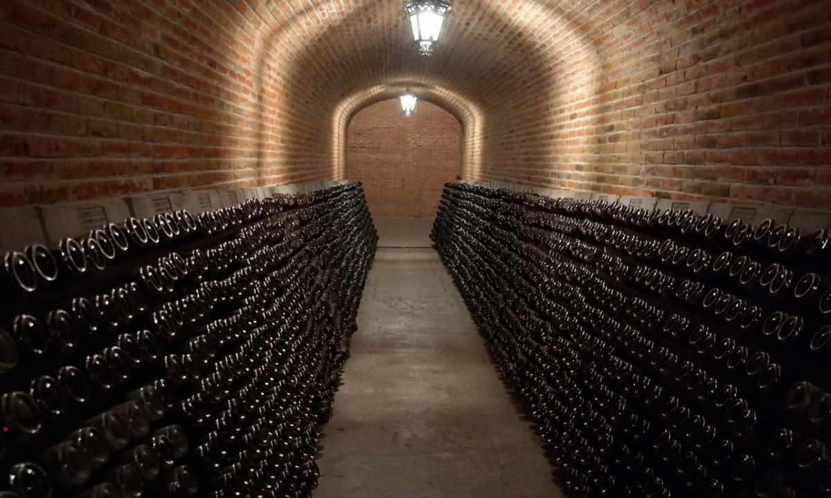How to dry up cellar