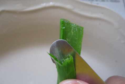 How to cut off aloe
