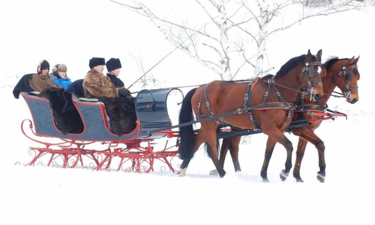 How to make the sleigh for horse