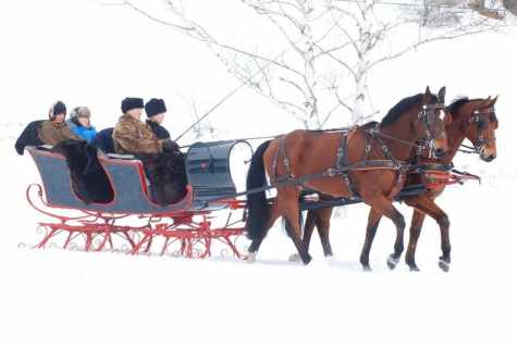 How to make the sleigh for horse