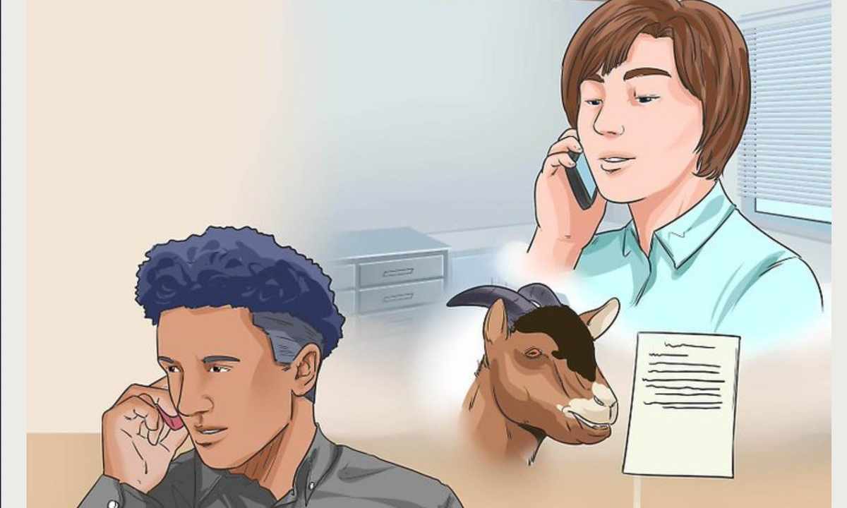 How to start goat