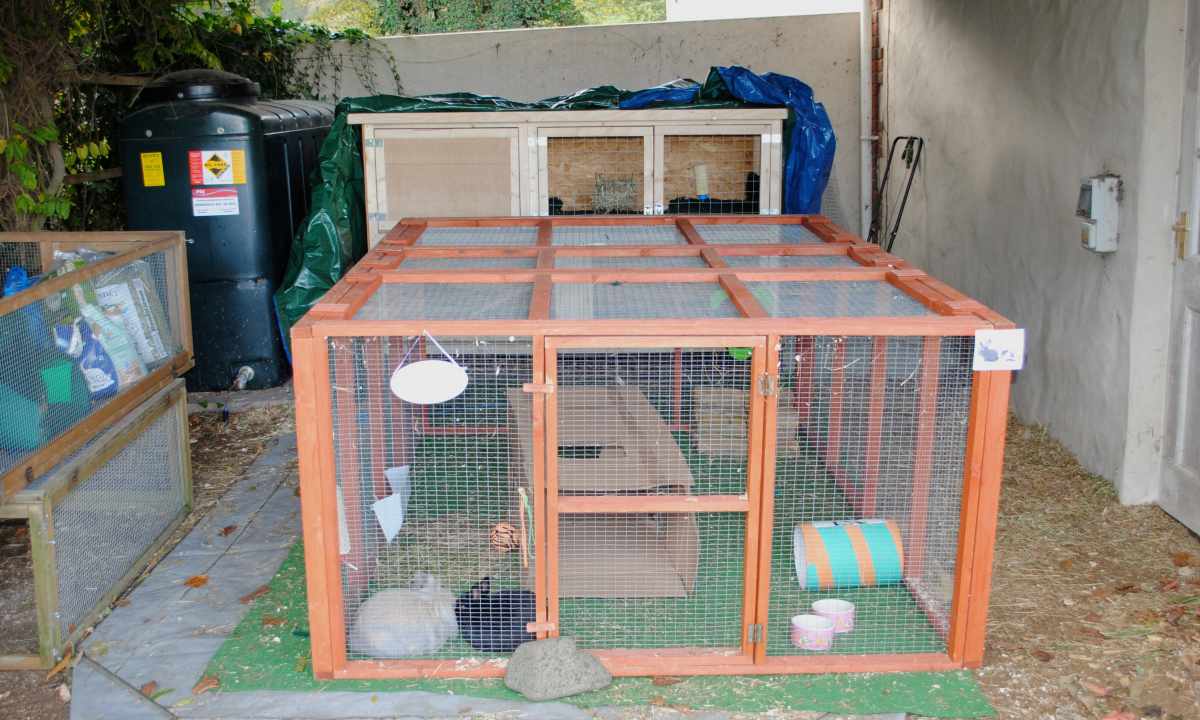 How to make the rabbit-hutch