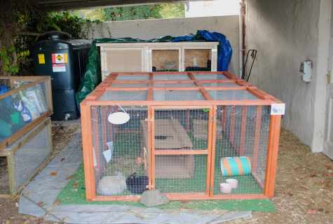 How to make the rabbit-hutch