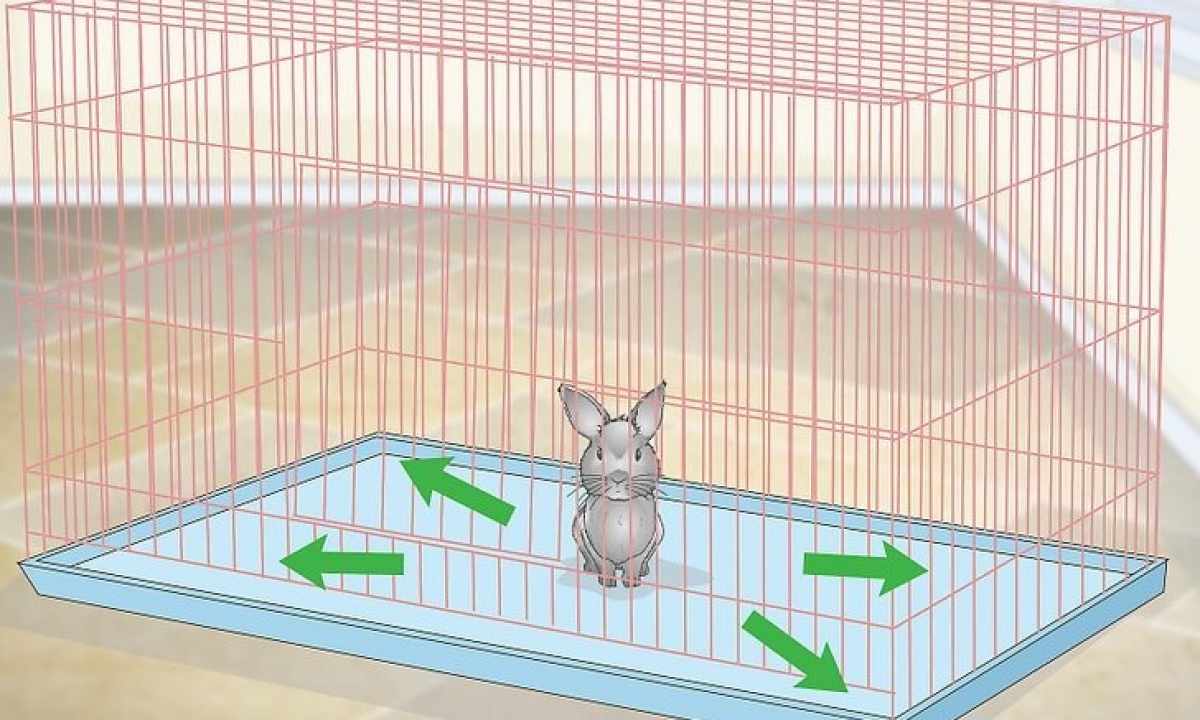 How to construct cage for rabbits