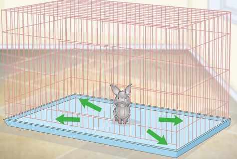 How to construct cage for rabbits