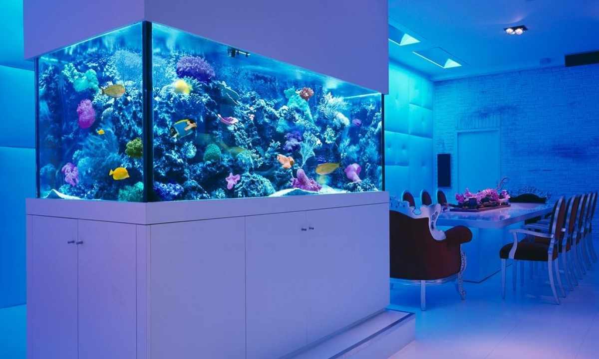Why water in house aquarium blossoms