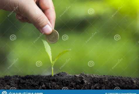 How to grow up monetary tree from shank