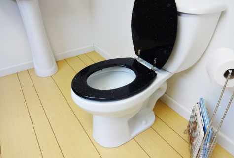How to establish toilet on the site