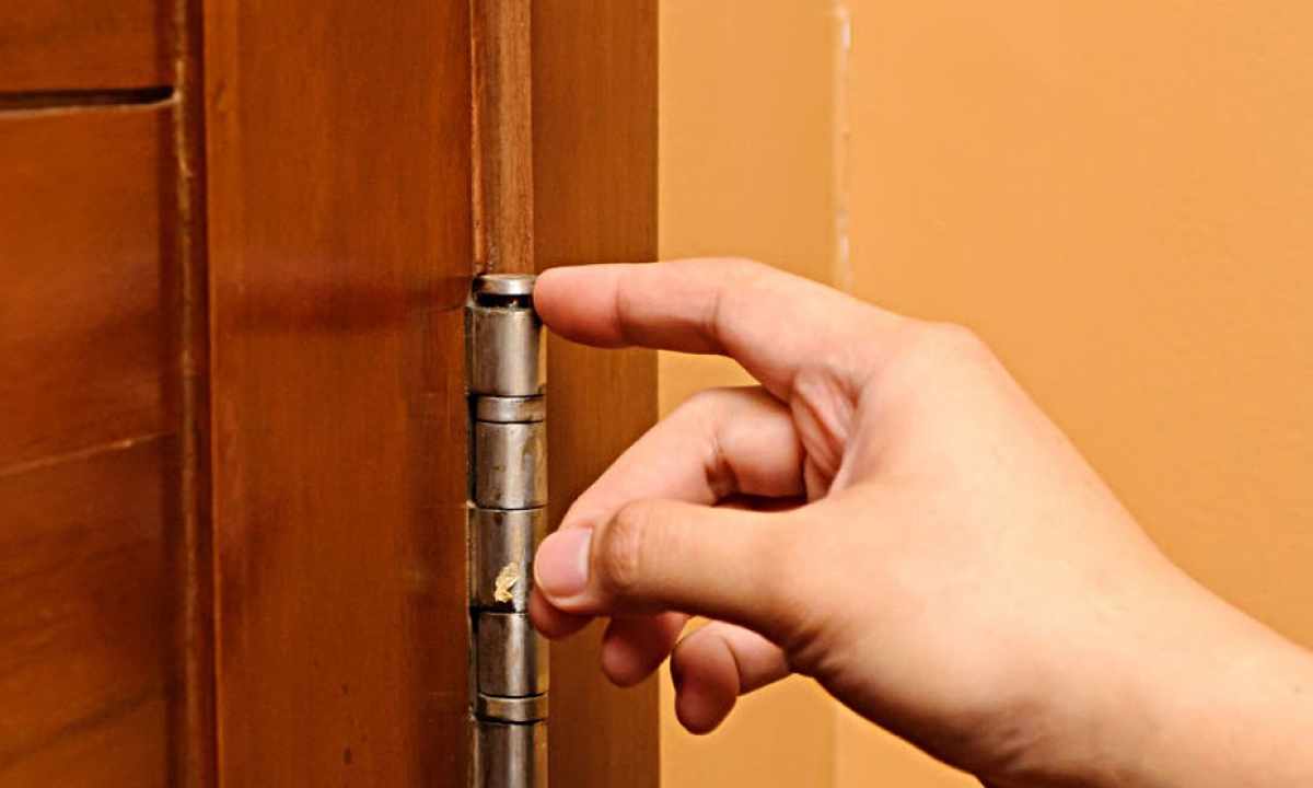 How to grease door hinges