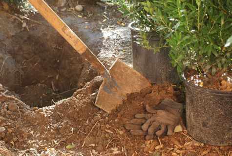 How to dig out well on the site