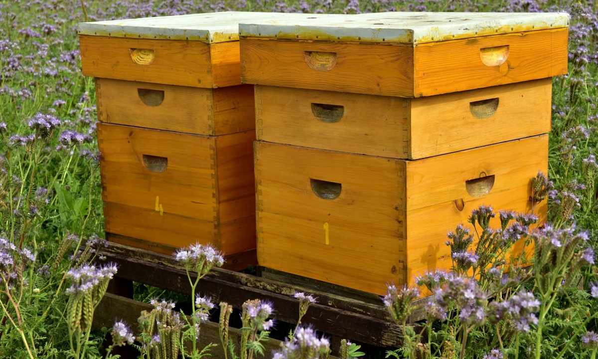 How to make beehive
