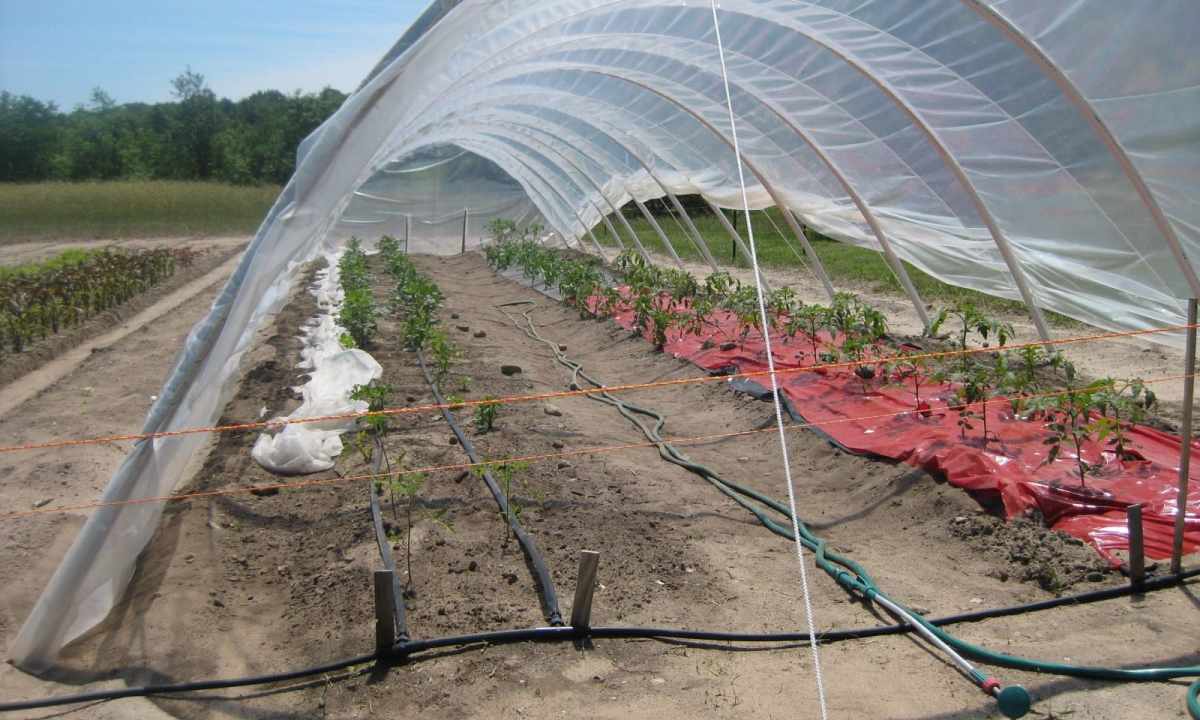 How to bend pipe for the greenhouse