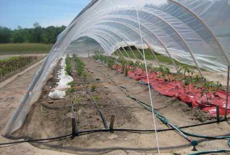 How to bend pipe for the greenhouse