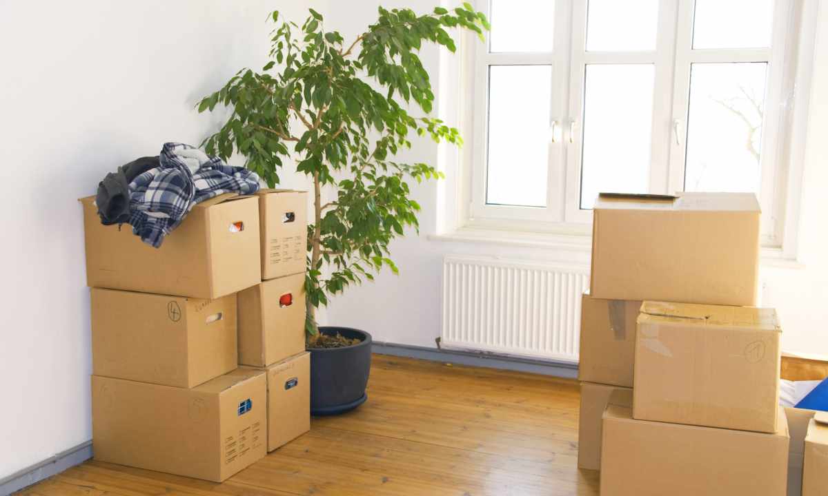 How to organize moving
