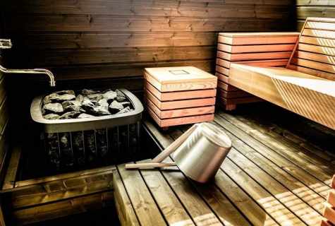How to equip sauna