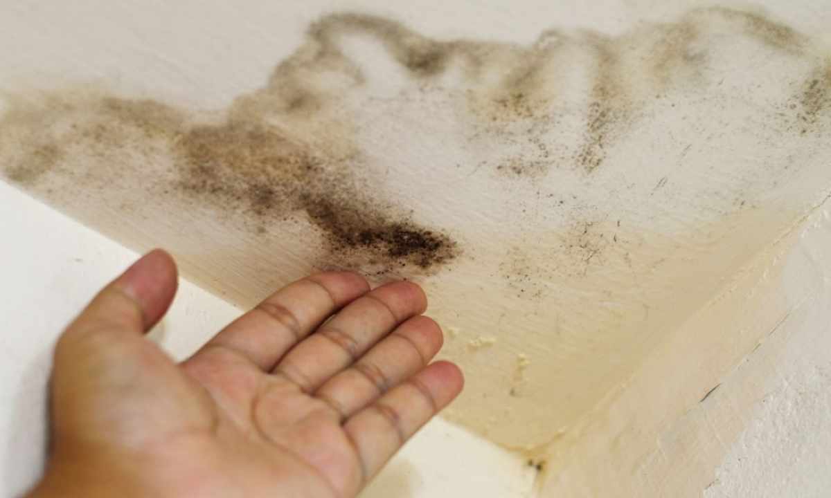 How to remove mold smell