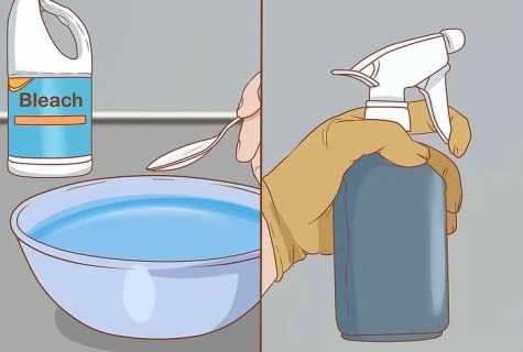 How to fight against mold in the bathroom