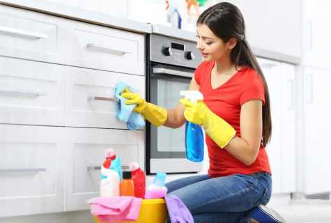 How to carry out cleaning in the apartment