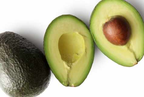 How to grow up avocado in the house