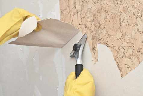 How quicker to unhang old wall-paper