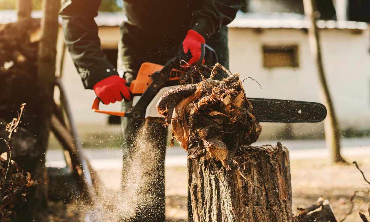 How to choose the chainsaw