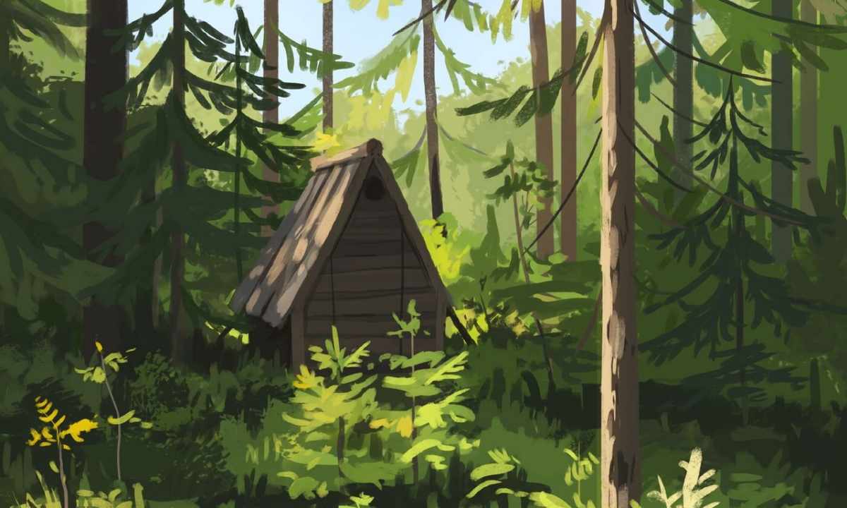 How to construct small hut in the forest