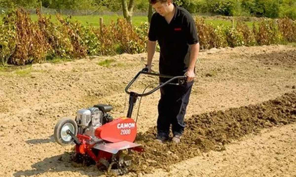 How to choose motor-cultivator