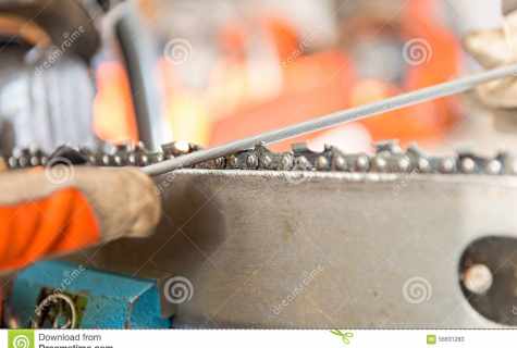 How to grind chainsaw chain: features of process